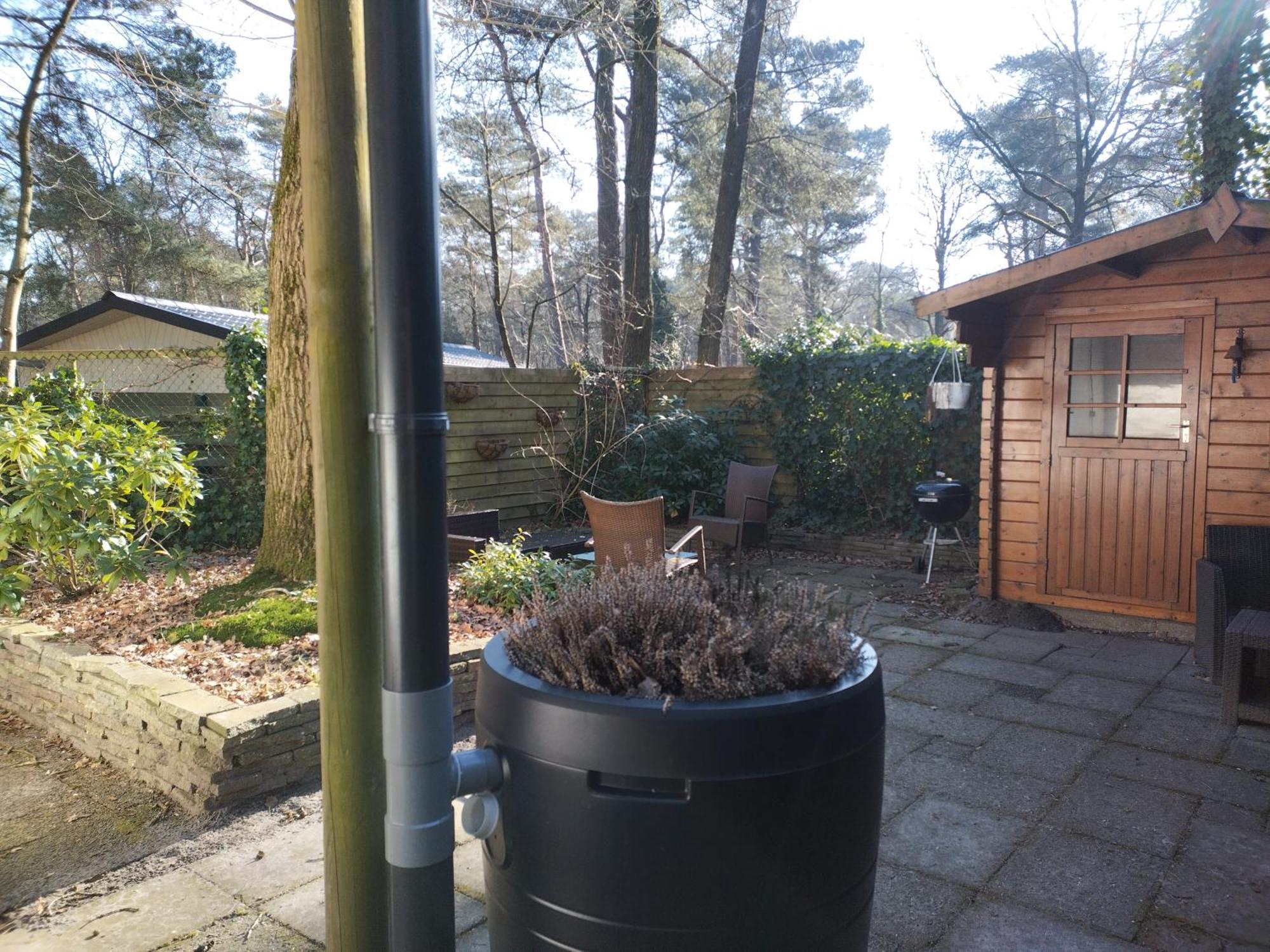 Wulft 47 Zonnig Gezellig 6P Chalet Met Zwembad In Bosrijke Omgeving Op Familie Camping De Vossenburcht IJhorst Bagian luar foto